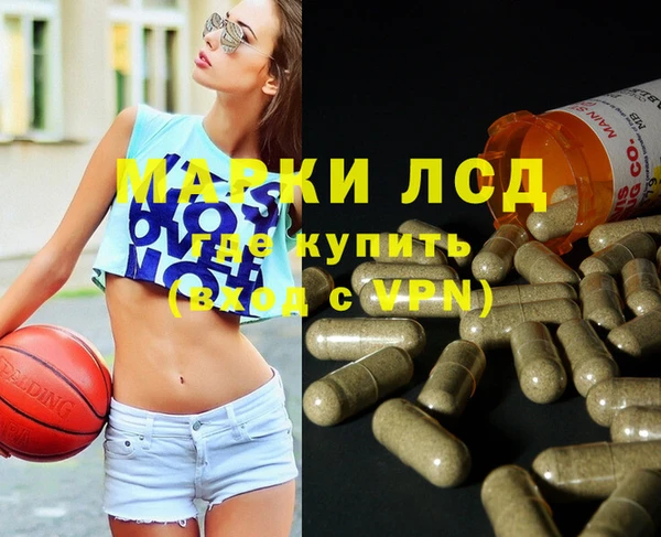 spice Алзамай