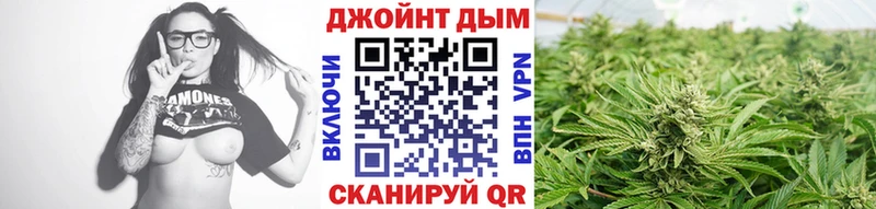 Каннабис Bruce Banner  как найти   Могоча 